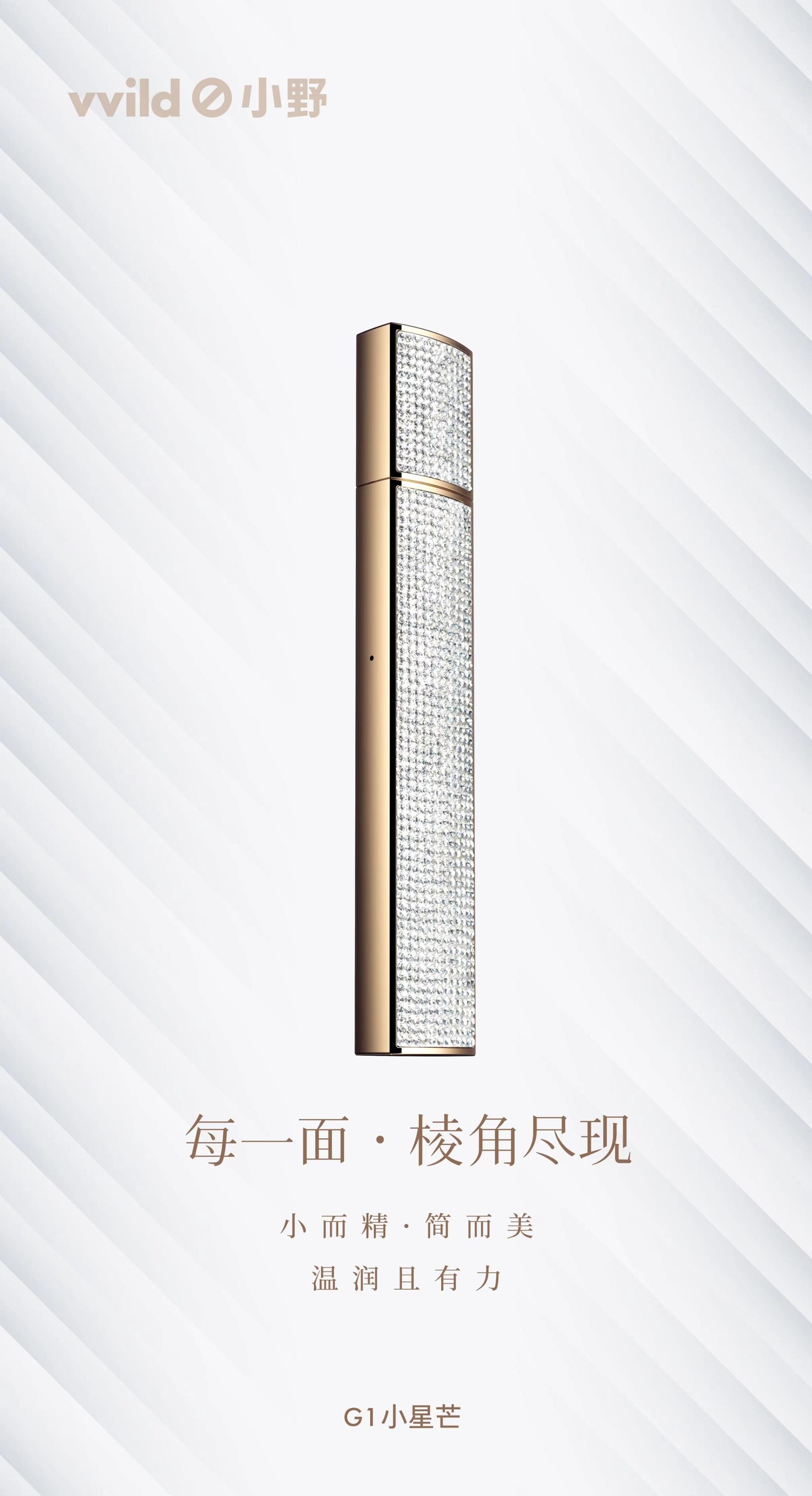 小星芒 / 形态细节