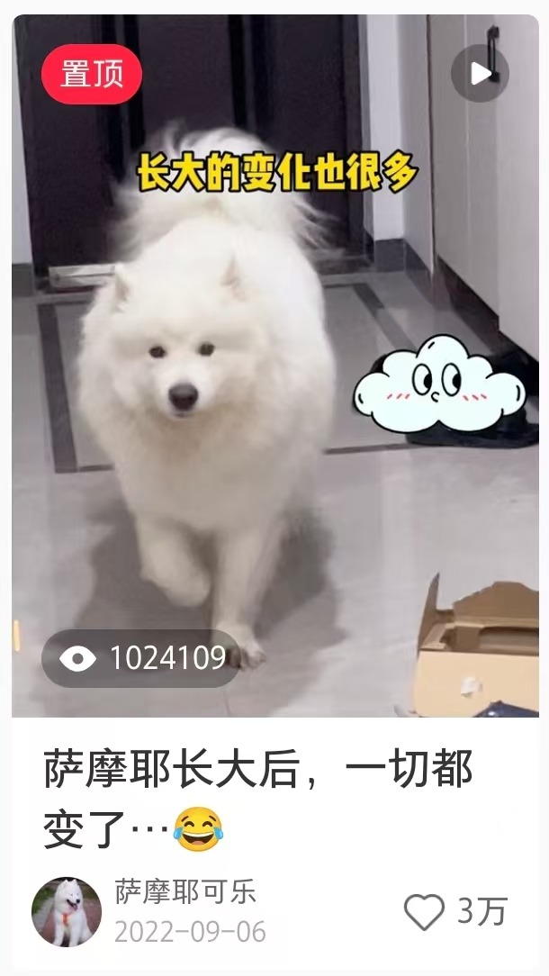 历史发布数据截图