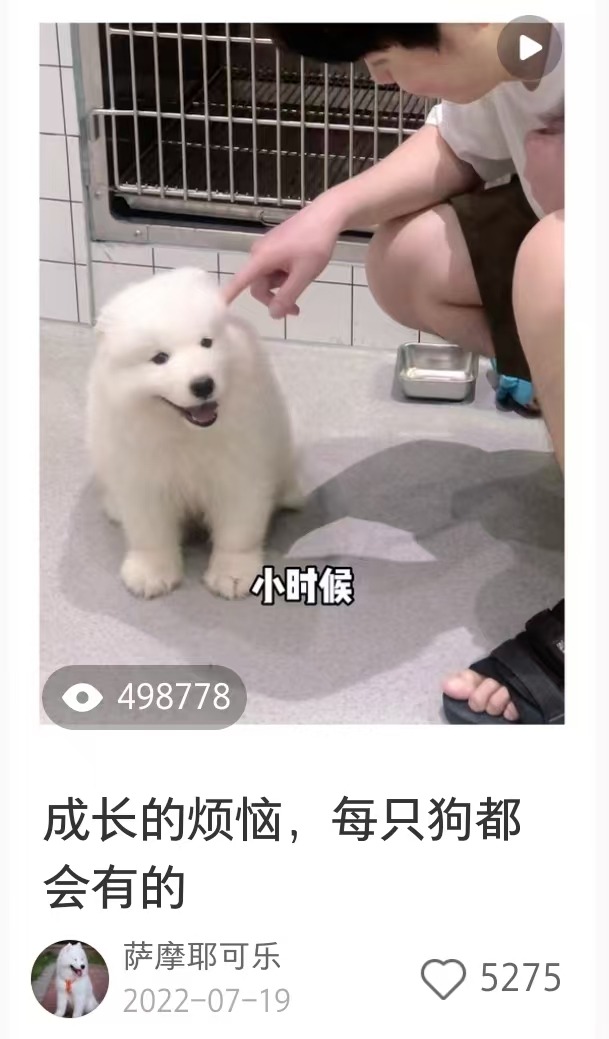 历史发布数据截图